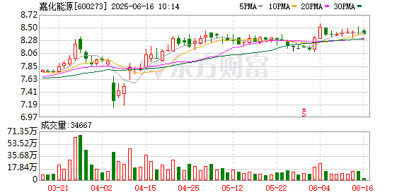 七星配资  嘉化能源：首次回购约59万股