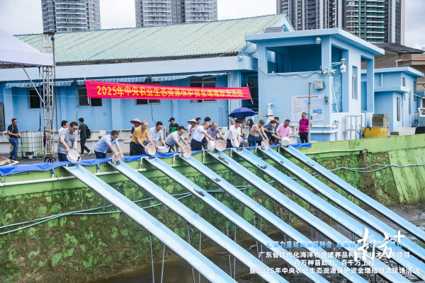 公富网配资 广东“以鱼还渔”护生态！增殖放流助力渔业资源可持续发展