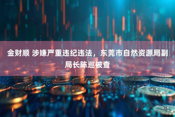 金财顺 涉嫌严重违纪违法，东莞市自然资源局副局长陈巡被查